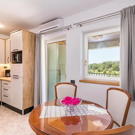 Villa Vizula Apartment *